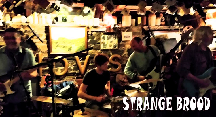 Strange Brood Live at the Cobweb in Boscastle